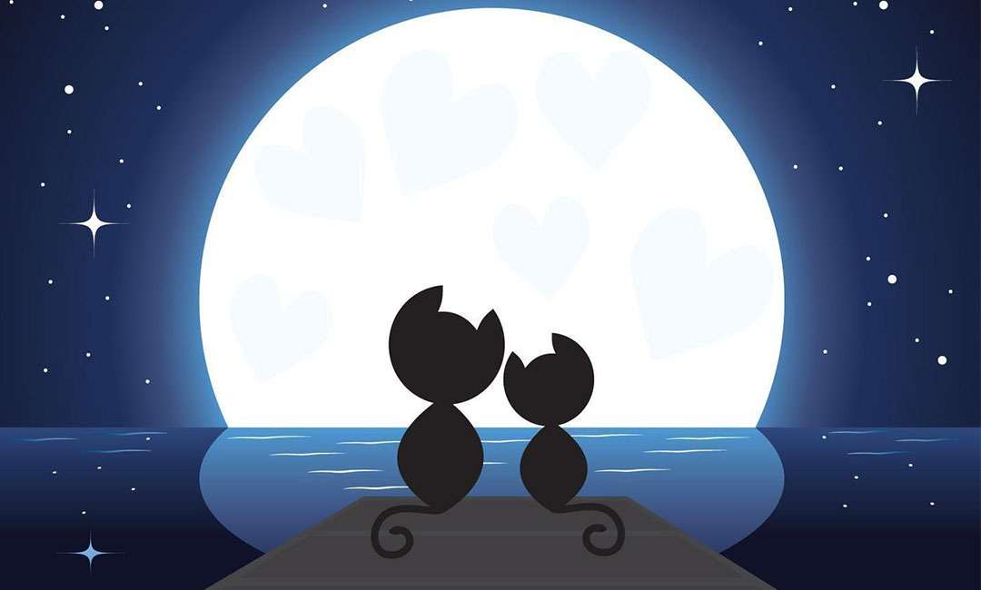 南通潮客汇微信活动策划案例